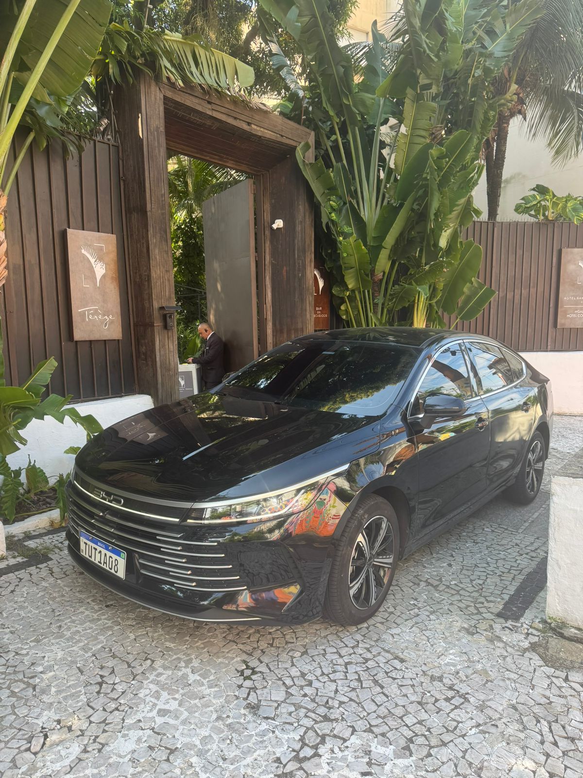 Carro executivo Seda